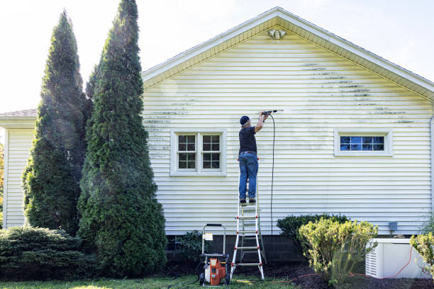Best Window and Screen Pressure Cleaning in Minneapolis, MN